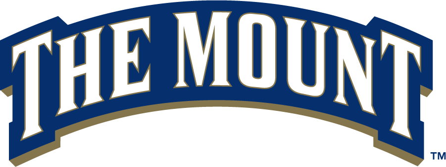 Mount St. Marys Mountaineers 2006-2016 Wordmark Logo v2 diy DTF decal sticker